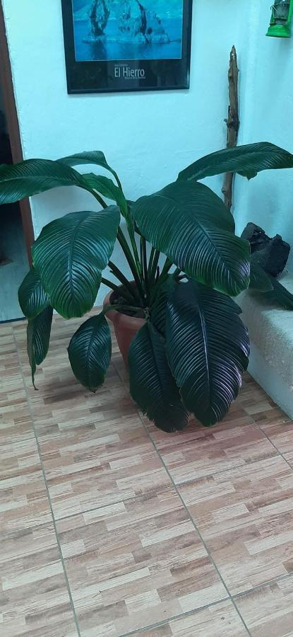 Vivienda Vacacional Sabinosa Luaran gambar