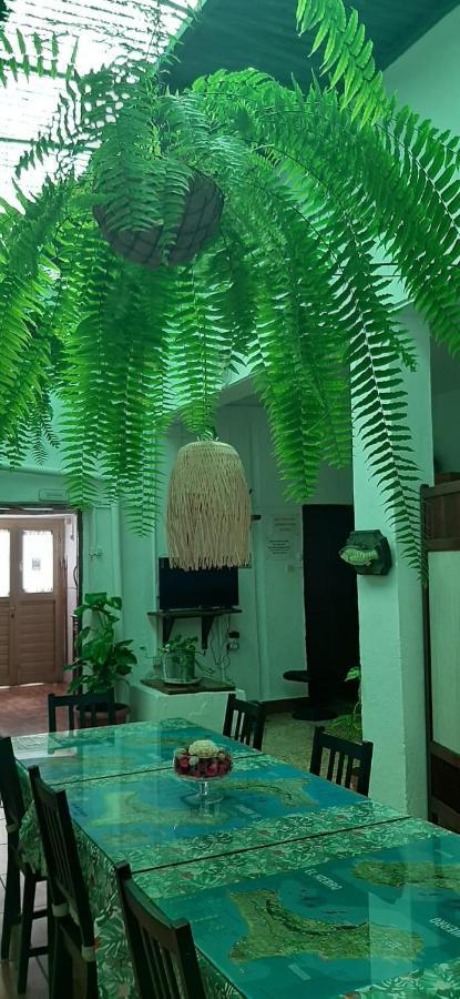Vivienda Vacacional Sabinosa Luaran gambar