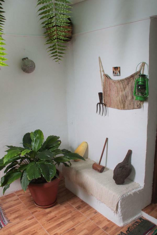 Vivienda Vacacional Sabinosa Luaran gambar